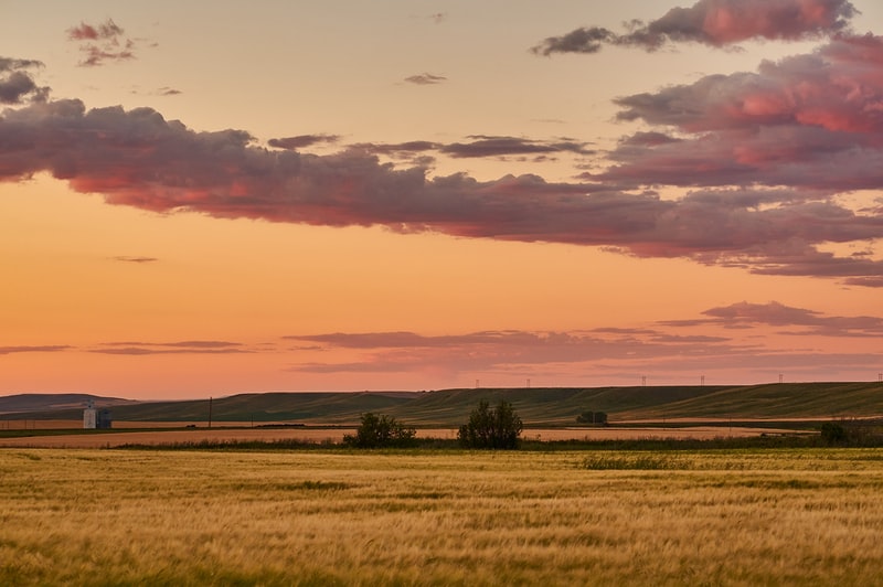 618_showbiz_botox_lilo