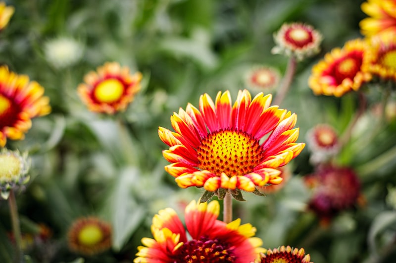 Fantasmi-e-anime-10-photo-da-brividi-che-vi-faranno-cambiare-idea-7