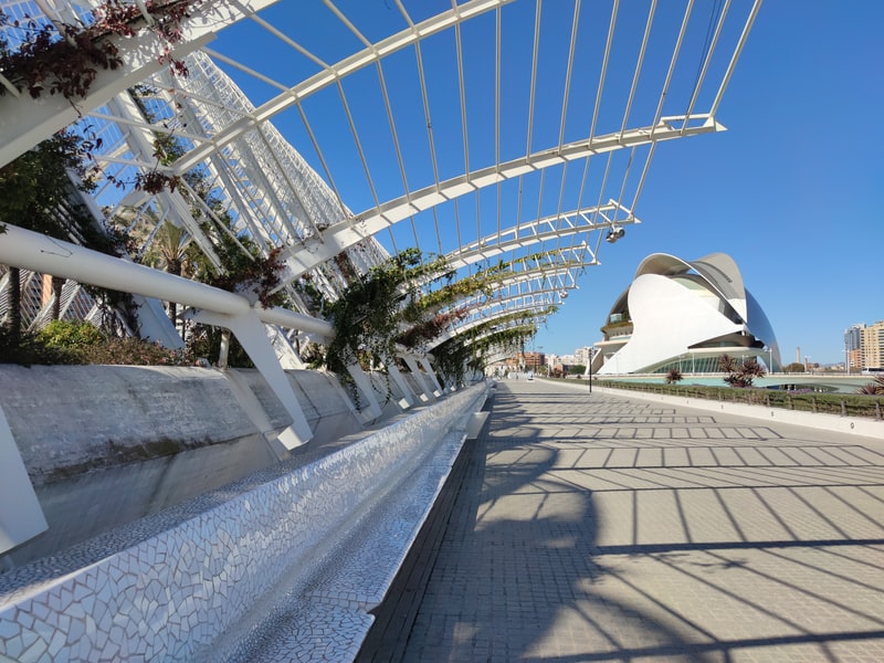 10-cibi-calorici-da-evitare-se-vuoi-dimagrire-ecco-gli-alimenti-che-piu-fanno-ingrassare-1