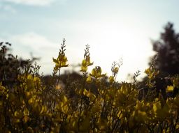 spoken-och-spoken-5-bilder-som-kommer-att-ge-dig-frossa-och-andra-dig